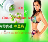 Chinese Herbal Medicine Capsule Reducing Weight (12090023)