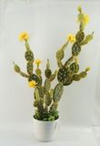 PE Foam Artificial Cactus Plants with Flower