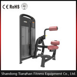 Commercial Fitness Equipment Machine / Back Extension