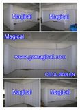 Top Quality CE Certificate Inflatable Air Wall (MIC-798)