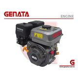 Japan Brand High Quality Gasoline Engine (GT168F)