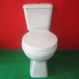 Washdown Close Coupled X-Trap Toilet