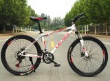 New Fashion Alloy Mountain Bicycle (AFT-MB-085)