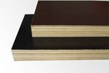 18mm hardwood film faced plywood