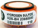 Hydrogen Sulfide Sensor (H2S-BH)
