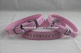 Dog Lovely Fashion Pet Collar, Pet Product