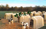 2015 New Types Calf Hutch for Livestock Equipment