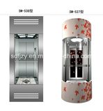 Glass Home Elevator