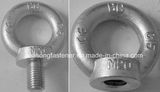 Eye Bolt / Eye Nut (DIN580 / DIN582)