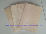 18mm Furniture/Packing Grade Plywood
