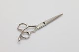 Hair Scissors (F-919)