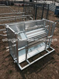 Hot Dipped Galvanised Sheep and Goat Catcher for Australia