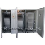 Egg Incubator Holding Eggs 8448PCS, 9856PCS, 14784PCS, 19712PCS