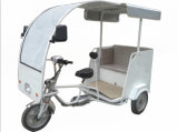 Convenient Tricycle Electric Three Wheels Vehicle