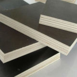 Film Faced Plywood for Construction Made in China