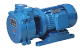 Liquid Water Ring Vacuum Pump (SK)