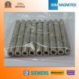 Industrial High Performance China NdFeB Magnet