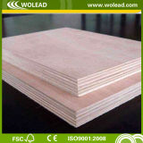 High Quality Plywood for Construction, Decoration and Furniture (w14024)