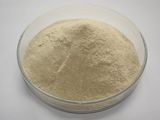 Sodium Alginate