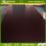 2 Times Hot Pressed Plywood for Building and Concrete (w15302)