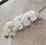 White Artificial Butterfly Orchids