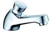 Cold Water Faucet