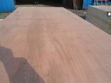 Very Competitive Prices of Packing Grade Plywood