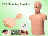 CPR Manikin