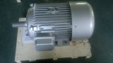 3 Phase Electric Motor with CE