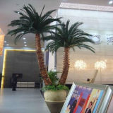 a Group of Artificial Palm Tree Bonsai for Decor