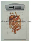 Medical Promotion Gift of Clip Board With Calculator (EYGF-63)