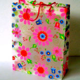 Customize PP Plastic Gift Bags