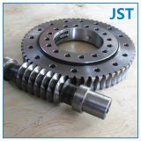 Customize Planetary Spur Gear (PL-002)
