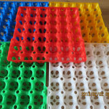 Plastic Egg Tray /Egg Box/ Egg Carton