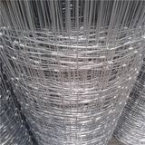 Knotted Galvanized Yard Guard Fence