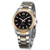 Stainless Automatic Watch for Man (8103G)