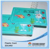Plastic Membership Card/Gift Card/VIP Card/Smart Cards