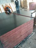 Black Film Poplar Core Film Faced Plywood (HBP016)