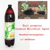 Seaweed Microbial Organic Water Soluble Fertilizer of Seedling Fertilizer