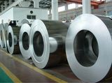 Zinc Steel Coils (DX51D, SGCC)