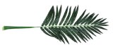 Artificial Plants and Flowers of Big Bamboo Palm Leaves 34lvs