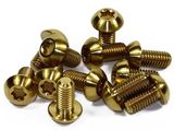 Pan Head Trox Titanium Bolts