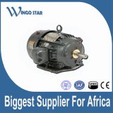 380V Three Phase Industrial Electric Motor