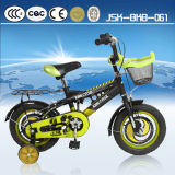 King Cycle Children Indoor Bike for Boy Direct From Topest Factory