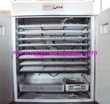 Egg Incubator (E352)