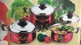 Red Pattern Pot Body Jp-Sspf03CB3 Stainless Steel Cookware