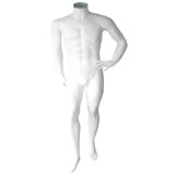 Male Mannequin Without Head (JS-AMA10)