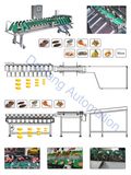 Accuracy +-0.5g, Fruit Weight Sorter Machine