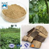 Superior Quality Chinese Herb Medicine Eucommia Ulmoides Extract