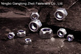 Stainless Steel Nylon Lock Nuts DIN985 for Industry